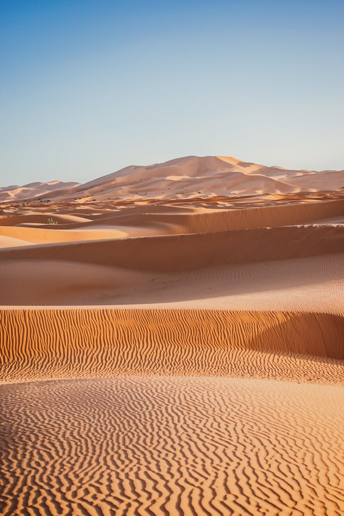 Casablanca to Marrakech: 6-Day Immersive Tour