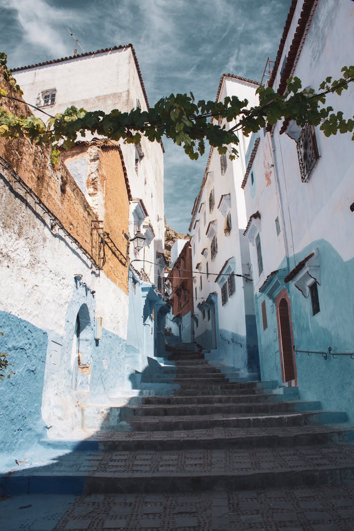 8-Day Tangier to Marrakech Tour