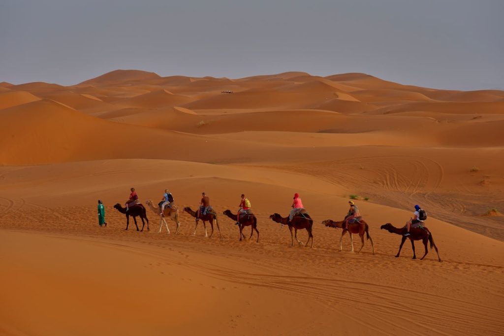 Camel Trekking in Merzouga Desert – Erg Chebbi Sahara Tours Tourists ride camels across stunning sand dunes under a clear desert sky, capturing the essence of desert adventure.