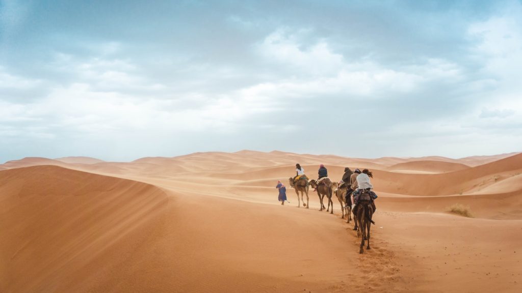 Camel Trekking in Merzouga Desert – Erg Chebbi Sahara Tours group of people riding on camels
