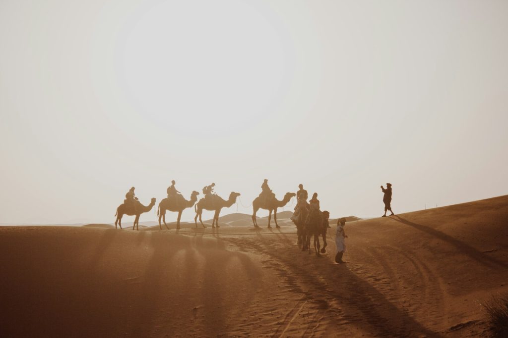 Camel Trekking in Merzouga Desert – Erg Chebbi Sahara Tours many people riding on camel through the desert field during daytime